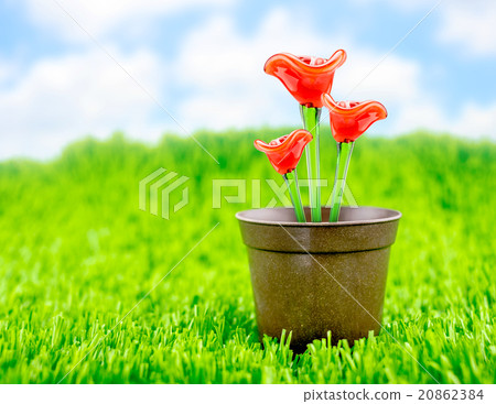 flower glass in brown flowerpot on green grass flower glass in brown flowerpot on green grass 20862384