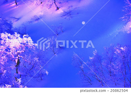 北海道富良野（Tokachidake）的冬季景象 20862504