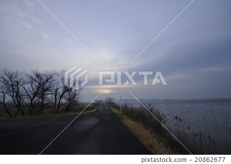 Quiet morning of Izu-numa Miyagi prefecture Quiet morning of Izu-numa Miyagi prefecture 20862677
