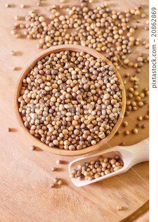 coriander coriander 20862869