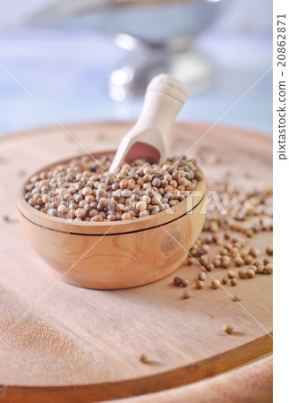 coriander coriander 20862871