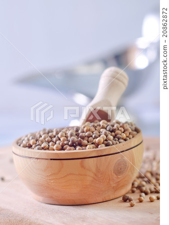 coriander 20862872
