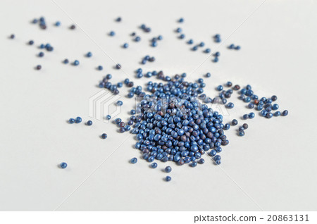 食用油菜花種子（秋蘭姆加工） 20863131