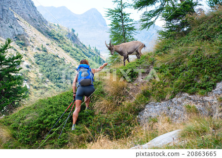Woman and ibex 20863665