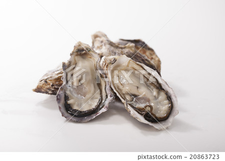 Raw oysters Raw oysters 20863723