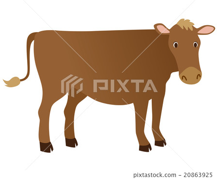 Cow jersey Cow jersey 20863925