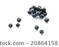 藍莓 20864158