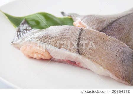 Children's clay 20864178