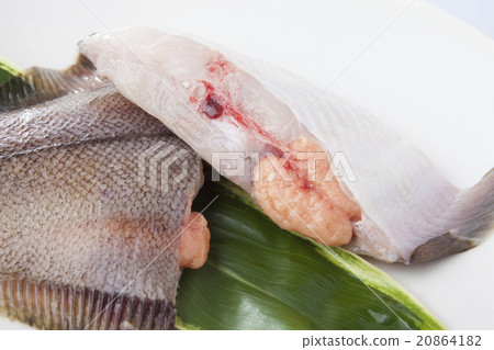 Children's clay 20864182