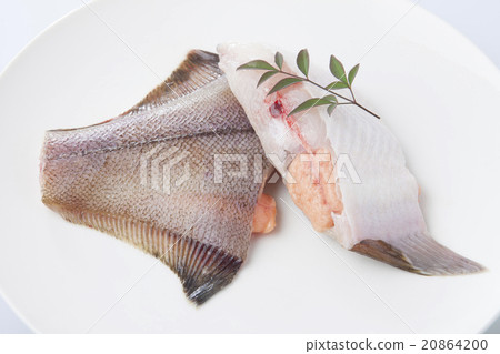 Children's clay 20864200