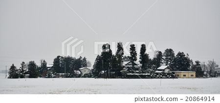 Tonami plain winter residence forest Tonami plain winter residence forest 20864914