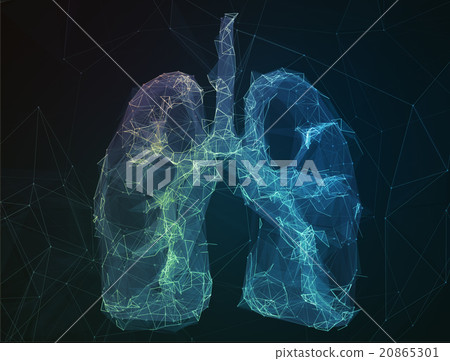 The abstract image human lungs in form of lines 20865301