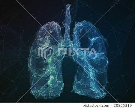 The abstract image human lungs in form of lines 20865319