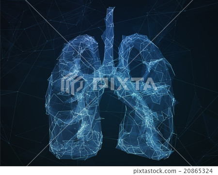 The abstract image human lungs in form of lines 20865324