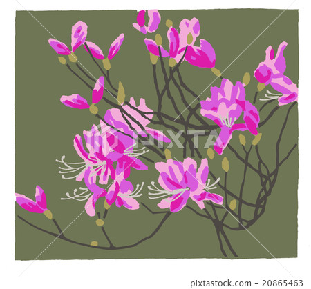 Mitsuba Azalea Mitsuba Azalea 20865463