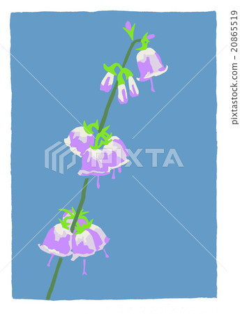 Adenophortriphylla Adenophortriphylla 20865519