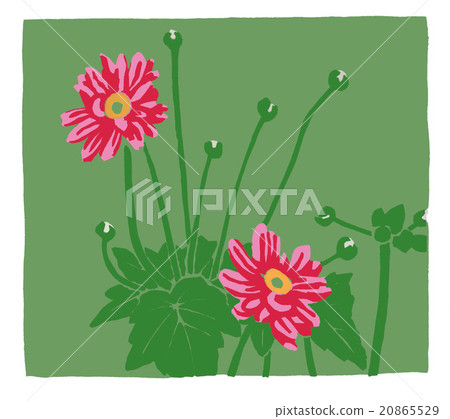 打破碗花花 打破碗花花 20865529