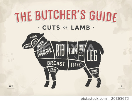 Cut of beef set. Poster Butcher diagram and scheme Cut of beef set. Poster Butcher diagram and scheme 20865673
