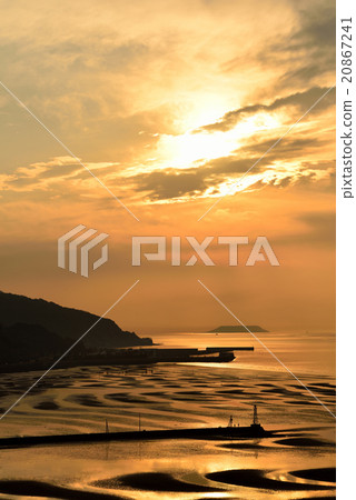 在晚上日落弄髒的沿海灌木的海岸的風景看法 20867241