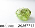 捲心菜 20867742