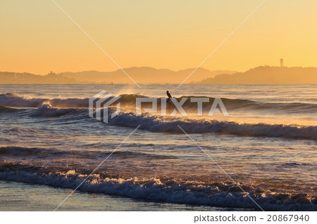 To live with waves To live with waves 20867940