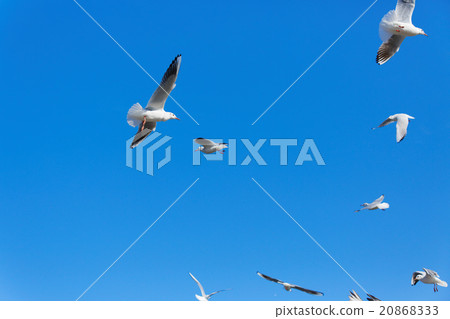 Ulysses in blue sky Ulysses in blue sky 20868333