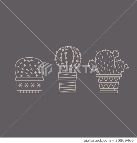 Plants and Cactuses in Pots. Linear Vector Set 20869466