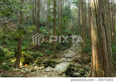 Magoshige Pass 20871081