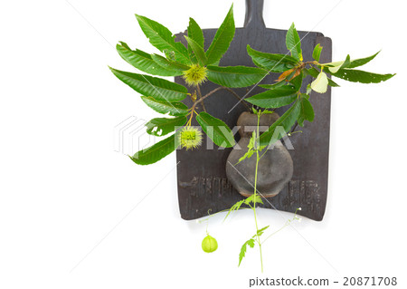 裝飾栗子和水果小龍蝦 20871708