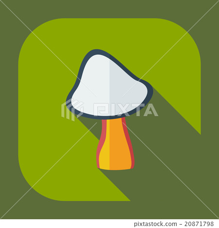 Flat modern design with shadow icons mushroom 20871798