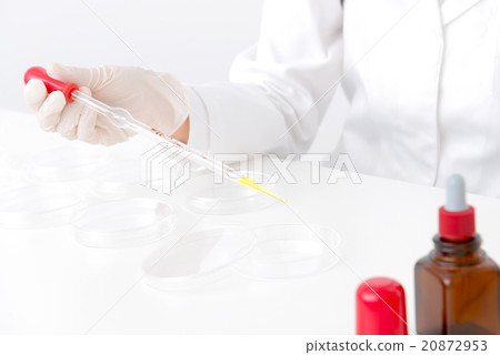 實習期間的學員 實習期間的學員 20872953