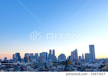 Shinjuku, morning, skyscraper group 20873917