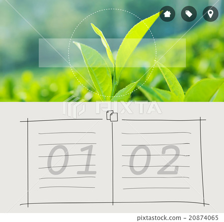 Green Tea Herb Leaf Cultivation Bush Agriculture Concept 20874065