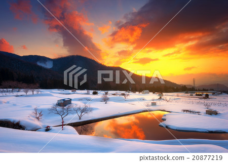 Burning sky with snow field in Japan Burning sky with snow field in Japan 20877219