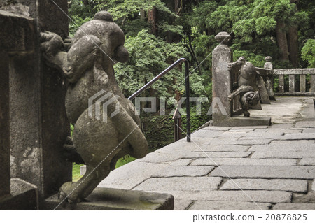 岩山神社的守護犬 20878825