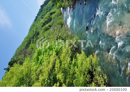 Fresh green stream Fresh green stream 20880100