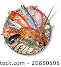 魚集 20880505