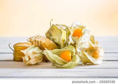 Physalis peruviana berries on a table 20880586