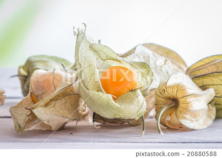 Physalis peruviana fruit on a table 20880588