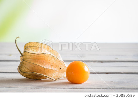 Peruvian groundcherry on a table 20880589