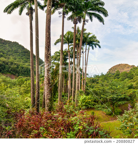 Caribbean island 20880827