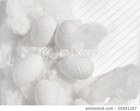 Cocoon and cotton and silk fabric 20881267