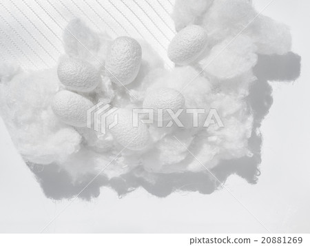 Cocoon and cotton and silk fabric 20881269