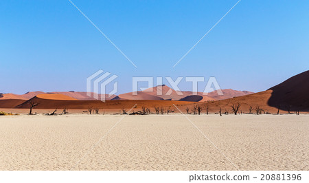 Hidden Vlei in Namib desert Hidden Vlei in Namib desert 20881396