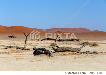 Hidden Vlei in Namib desert 20881400