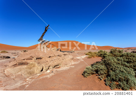 Hidden Vlei in Namib desert 20881401