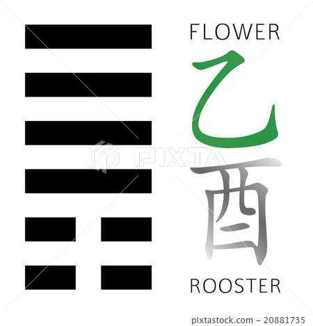 Hexagram from chinese hieroglyphs. Flower, Rooster 20881735