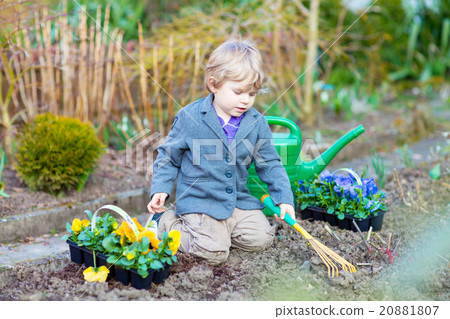 Little boy gardening and planting flowers in Little boy gardening and planting flowers in 20881807