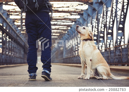 Man with his dog 20882783