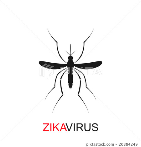 Zika mosquito vector. Virus alert. Aedes Aegypti Zika mosquito vector. Virus alert. Aedes Aegypti 20884249